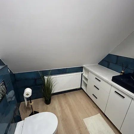 Apartment Ustronny Loft *